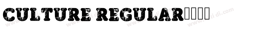 Culture Regular字体转换 Culture Regular字体转换
